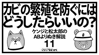 カビの繁殖を防ぐにはどうしたらいいの？　ケンジと松太郎のABよりぬき解説_11