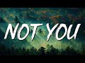 Not You - Alan Walker & Emma Steinbakken (Lyrics)