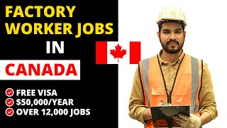 Factory Jobs in Canada for Foreigners | Canada Factory Worker Job