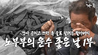 [다큐 ‘가족’ 396회 1부] 고추도 못 팔아 애타는데 경운기까지 고장 나 막걸리로 쓰린 속 푸는 73살 할아버지