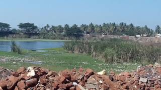 harohalli lake kanakapura