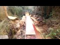 Alaska chainsaw milling: perfect first cut 45' beam