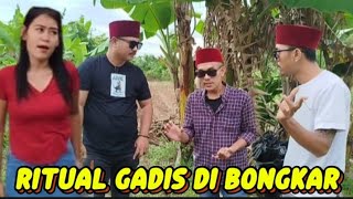 🟢 BANG REY LAMPUNG TERBARU MENYADARKAN GEMBONG PEREMAN TER BESAR