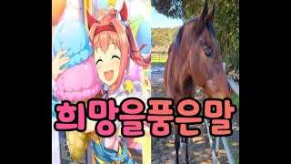 우마무스메 희망전도사 하루우라라 실제이야기 (ハルウララ の実話)