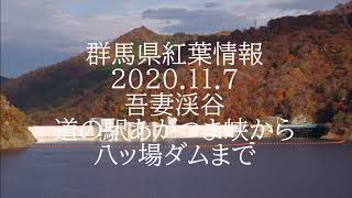 群馬県紅葉最新情報吾妻渓谷2020 11 7　道の駅あがつま峡から八ッ場ダムまで