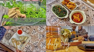 #dailyvlog HOMEBODY DIARIES/ A DAY IN MY LIFE/ RUTINITAS HARIAN IRT/ PAGI YANG SIBUK/ PANEN KANGKUNG