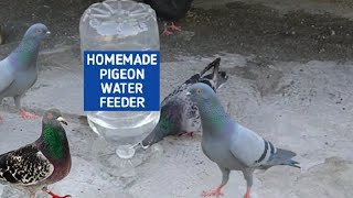 DIY PIGEON DRINKING FEEDER IN WILKINS PLASTIC BOTTLE