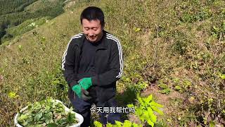 山里养蚕摘茧第三天，满载而归100多斤，蚕农最开心的时候