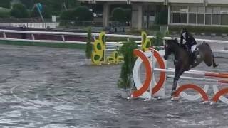 第５１回関東学生賞典障害飛越競技大会　第１回走行　三年　市村桂子　ビリーヴマイン