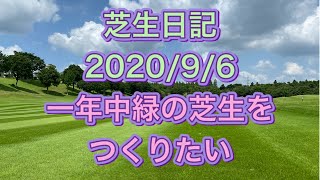 芝生日記　2020/9/6 雑草の紹介も始めました