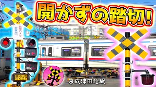 【ふみっきー君と見る】開かずの踏切!@京成津田沼駅(谷津第5号踏切道)　【新京成旅のおまけ】