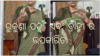 mansa ର ନାକ ଉପରେ କି ରଗଲୋ ମା#ରୁକୁଣା ପତ୍ର ର ଉପକାରିତା#ବ୍ରାହ୍ମୀ ଖାଇଲେ କଣ ହେବା#odiavloggersasmita #viral