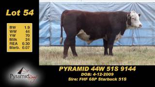 Lot 54: Pyramid 44W 51S 9144