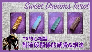 🌜Sweet Dreams Tarot🌛TA的心裡話💬對你和關係的感覺與想法🐚來自宇宙的建議✨用塔羅牌探索內心✅不限關係：朋友/曖昧/交往/冷戰/分手/斷聯/前任⏰Timeless