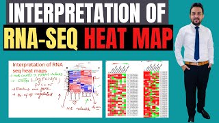 Interpretation of RNA-seq heat maps