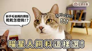 喵星人的飼料原來要這樣選！？貓生必吃的超值飼料推薦🐱｜毛孩市集 Petpetgo