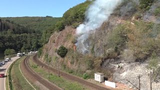 Waldbrand bei Taben-Rodt