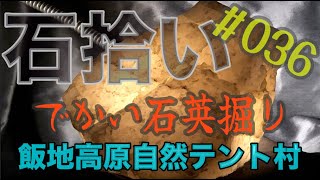 【石拾い No.36】キャンプ場で掘ってみた　【岐阜県恵那市飯地町】#石拾い　#stonehunting　#飯地高原自然テント村