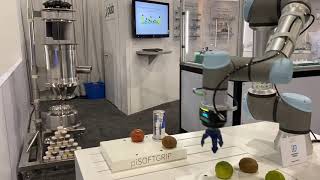 Piab's piCOBOT \u0026 piSOFTGRIP on Universal Robot at Pack Expo 2020 Philadelphia