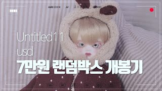 언타이틀드 11 7만원 랜덤박스 개봉기/ 구체관절인형/ usd옷 개봉기/스윗게일 로빈