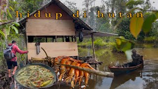 hidup di hutan dan pasang perangkap udang hasilnya lumayan buat survival