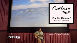 Why the Cantare OC1? - Teaser -  Because one size does not fit all