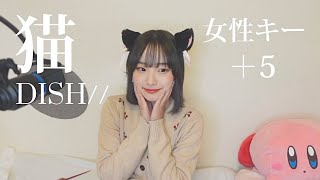 【歌ってみた】猫　DISH／／　女性キー+５【じゅんな】