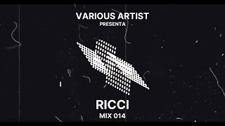 RICCI X V.A. TECHNO MIX 014