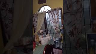 People Run for Cover During Typhoon as Strong Winds Break Glass Window of Their House - 1417435