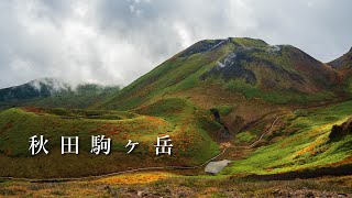 【秋田駒ヶ岳】紅葉の時期に八合目登山口から登ってきました。