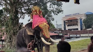 ആനി ഉത്സവത്തിന് തിരുനക്കര തേവരുടെ തിടമ്പുമായി തിരുനക്കര ശിവൻ