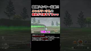 ニャルマーさんの「寝姿」が可愛すぎるww【Pokémon LEGENDS アルセウス】【寝顔ハンター】