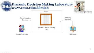 Introduction to DDMLab