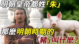 明朝皇帝都姓「朱」，那麼明朝時期的「豬」叫什麼？答案跟你想的絕對不一樣！#明朝 #豬