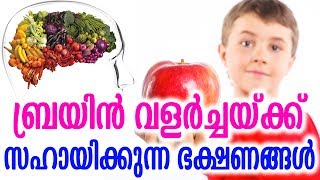 ബ്രെയിൻ വളർച്ചയ്ക്ക് സഹായിക്കുന്ന ഭക്ഷണങ്ങൾ | Naturally Increase Your Brain Power | Health Tips