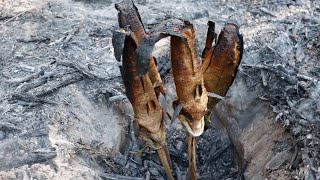 Grilled fish, Cooking fish អាំងត្រីក្នុងរណ្ដៅដីតាមបែបស្រុកស្រែ