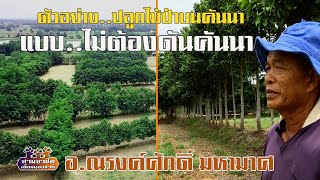 ตัวอย่าง..ปลูกไม้ป่าบนคันนา \