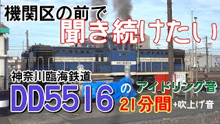 神奈川臨海鉄道DD5516のアイドリング音21分間＋吹上げ【機関区の前で聞き続けたい】