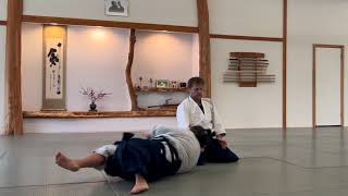 hamni handachi ushiro ryokatadori shihonage omote waza Birankai ikkyu (first kyu) test