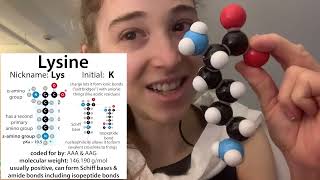 Lysine biochemistry \u0026 reactivity - emphasis on its charge \u0026 nucleophilic ability to form bonds