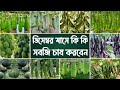 💥ডিসেম্বর মাসে কি কি সবজি চাষ করবেন দেখে নিন। শীতকালীন সবজি চাষ পদ্বতি