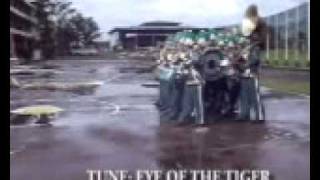 unep-eye of the tiger