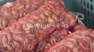 청천푸른내시장 '여기는 청천 푸른내시장 입니다' 홍보 영상