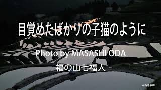 今朝のオリジナル曲　広島県福山市　「目覚めたばかりの子猫のように」　福山老人ユニット七福人オリジナル曲