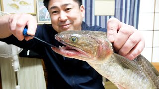 ギザギザの歯！怖い顔のお魚だけど味は格別です！おすすめの食べ方をご紹介！！