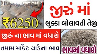 Jeera na bhav | 29-11-2024 | આજના બજાર ભાવ | જીરું નો ભાવ | commodity trend #jeeranabhav