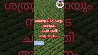 ആറടി മണ്ണിൽ പറയുന്നതിന് മുൻപ് ശത്രുവിനെയും മിത്രം  ആക്കുക@DAILY4VIBES #viralreels #love