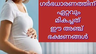 ഗര്‍ഭധാരണത്തിന് ഏറ്റവും മികച്ചത് ഈ അഞ്ച് ഭക്ഷണങ്ങൾ||M4Tips||malayali Youtuber||EP:401