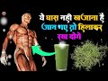 दूब घास के फ़ायदे महिलाओं के लिए वरदान health benefits of doob grass bermuda grass benefits