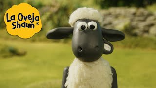 La Oveja Shaun 🐑 Shaun tiene un plan 🐑 Dibujos animados para niños